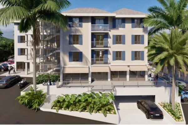 Maho house new construction