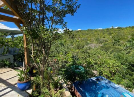 Citron Vert Terres Basses Saint Martin Eco Luxury 4 Bedroom Villa
