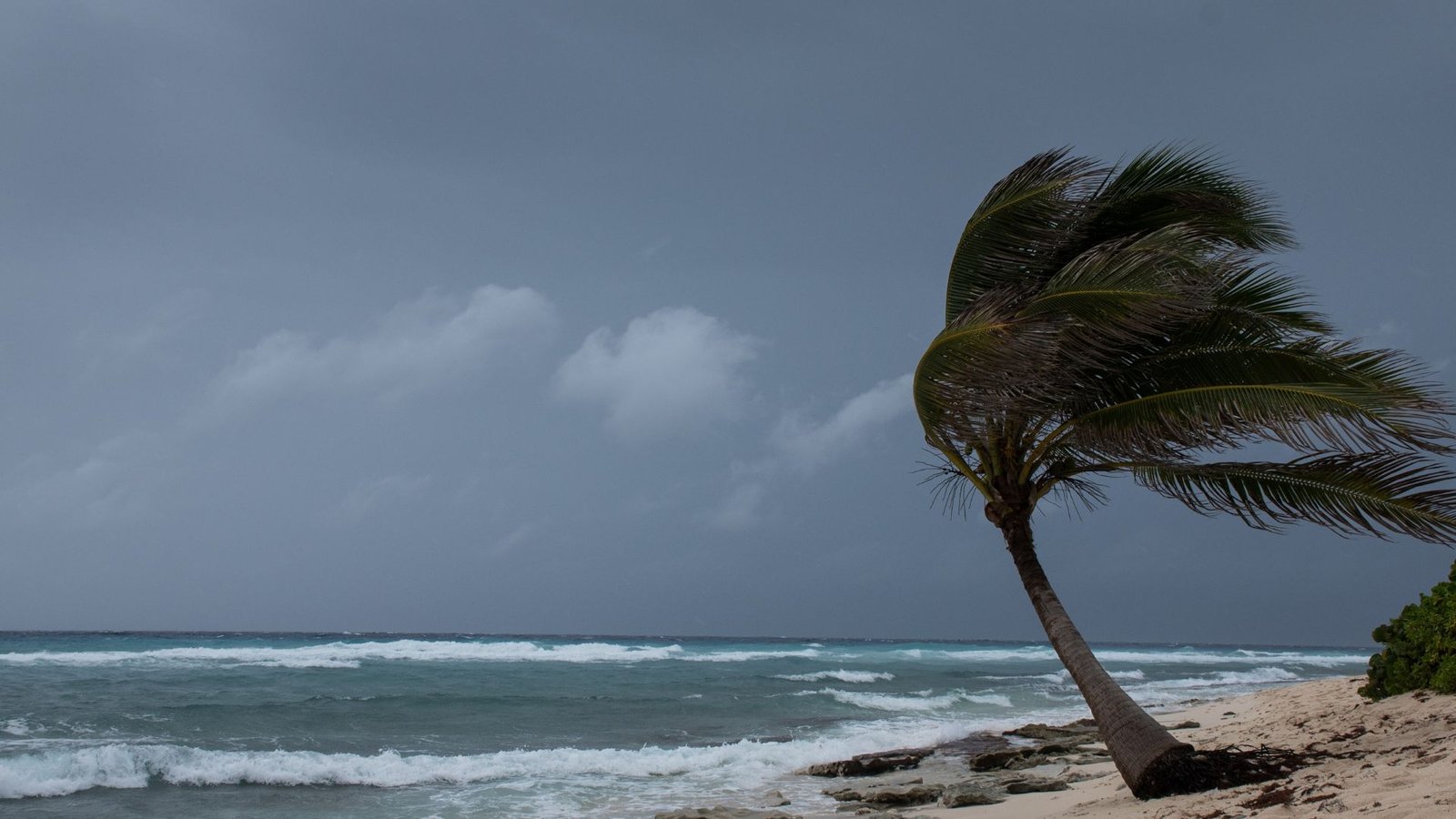 Insurance in a Hurricane Zone